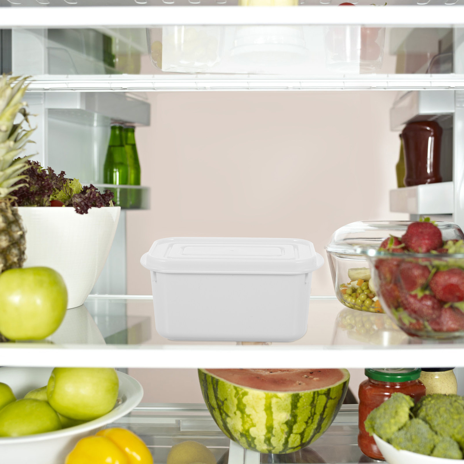 2 шт. контейнеров для хранения – обзор и цена Food Storage For Restaurant