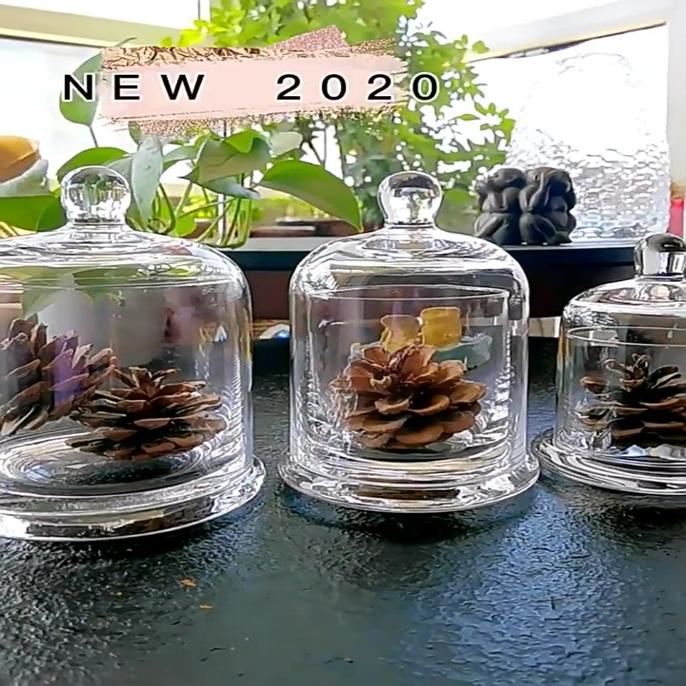 Стеклянная банка для хранения, – обзор и цена Food Storage In Plants